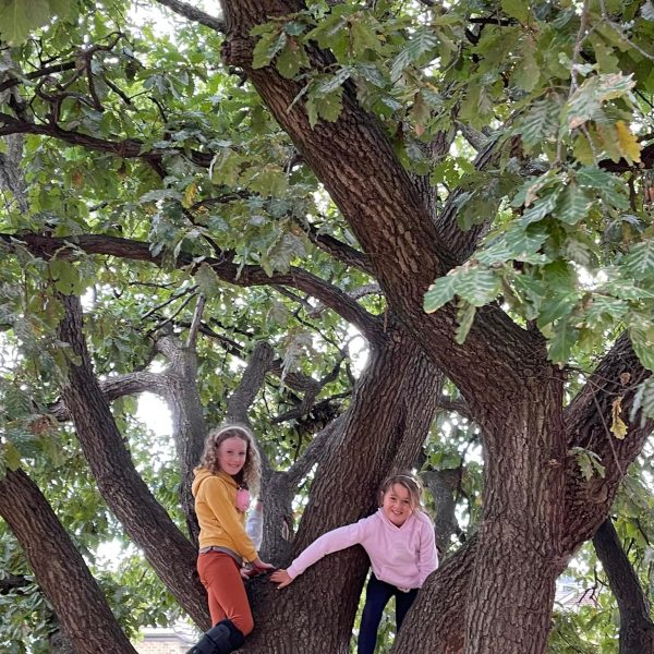 278636553_4971103566345381_8307781409376507949_n