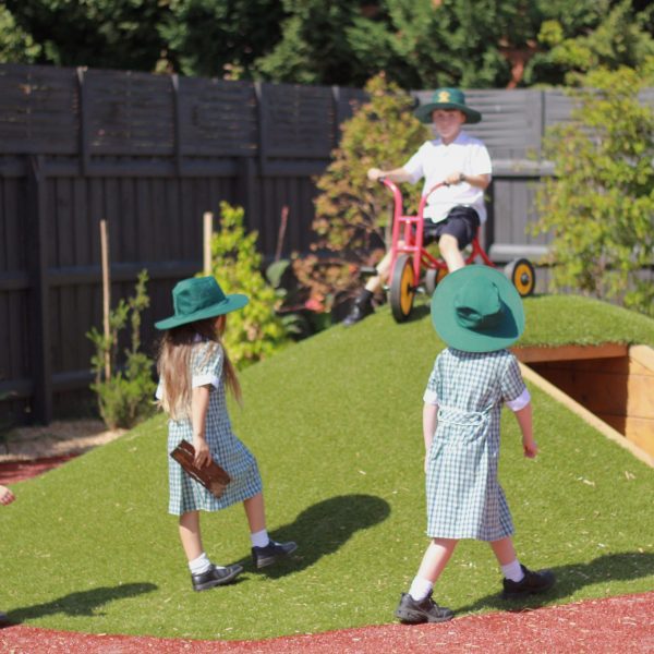 9bf9391d-2d23-4e74-9fde-720e738589b0new Schoolies